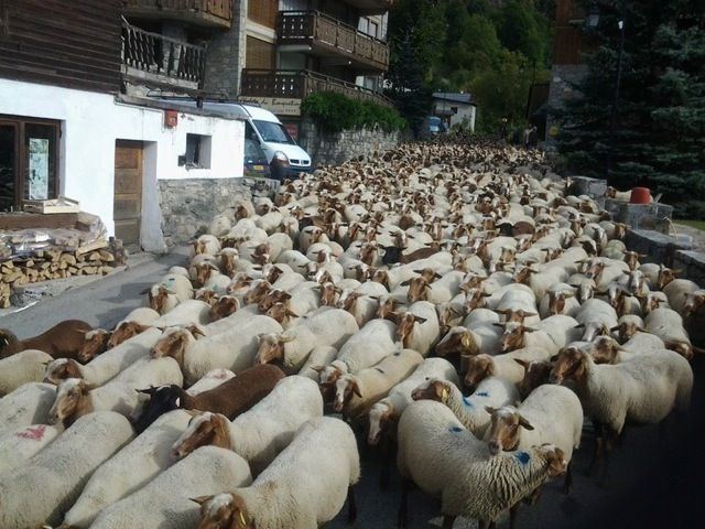 foto 20 Alquiler vacacional entre particulares Champagny en Vanoise appartement Rdano Alpes Saboya