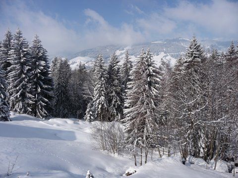 foto 12 Alquiler vacacional entre particulares Megve appartement Rdano Alpes Alta Saboya Vistas desde el balcn