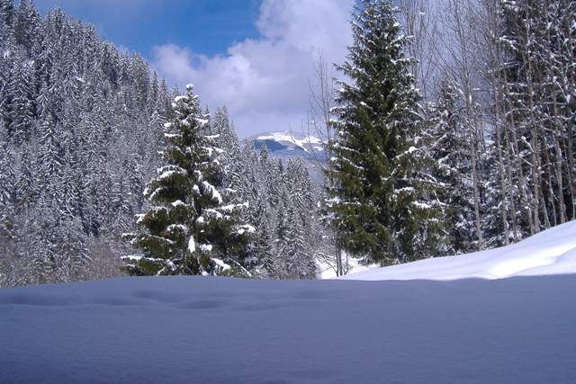 foto 0 Alquiler vacacional entre particulares Areches Beaufort studio Rdano Alpes Saboya Vistas desde el alojamiento