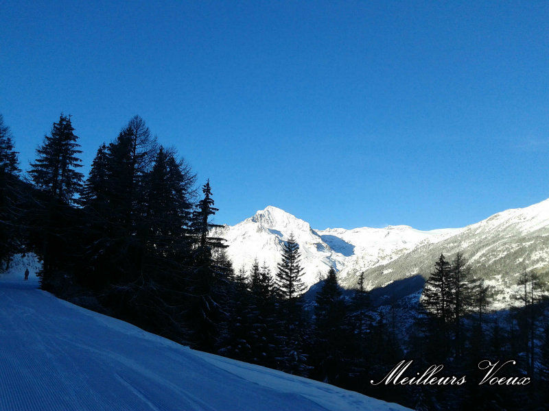 foto 11 Alquiler vacacional entre particulares Val Cenis appartement Rdano Alpes Saboya Vistas desde el alojamiento