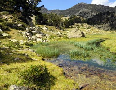 foto 11 Alquiler vacacional entre particulares Saint Lary Soulan studio Medioda-Pirineos Altos Pirineos Otras vistas