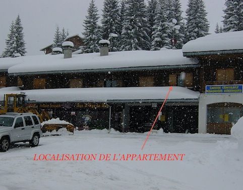 foto 12 Alquiler vacacional entre particulares Praz de Lys Sommand appartement Rdano Alpes Alta Saboya Vistas exteriores del alojamiento