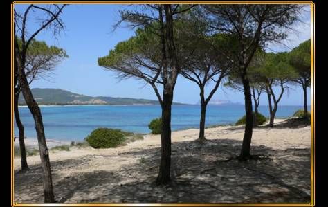 foto 0 Alquiler vacacional entre particulares Budoni maison Cerdea Olbia Tempio (provincia de) Vistas de las proximidades