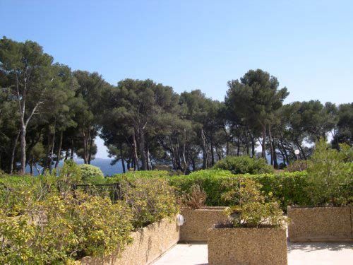 foto 3 Alquiler vacacional entre particulares Bandol appartement Provenza-Alpes-Costa Azul Var Vistas desde la terraza