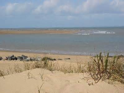 foto 19 Alquiler vacacional entre particulares Saint Denis d'Olron villa Poitou-Charentes Charente-Maritime