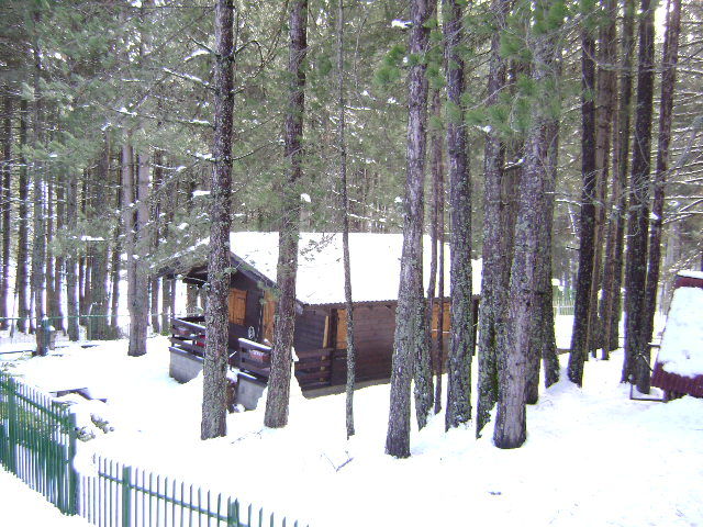 foto 0 Alquiler vacacional entre particulares Camigliatello silano chalet Calabria Cosenza (provincia de)