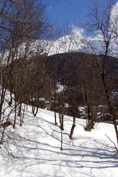 foto 13 Alquiler vacacional entre particulares Courmayeur appartement Valle de Aosta Aosta (provincia de) Vistas desde el balcn