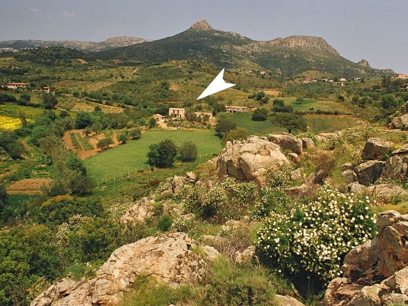 foto 19 Alquiler vacacional entre particulares Santa Maria Navarrese villa Cerdea Ogliastra (provincia de)