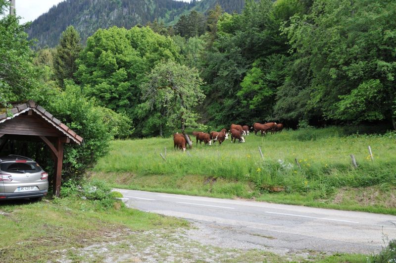 foto 22 Alquiler vacacional entre particulares Thollon Les Mmises maison Rdano Alpes Alta Saboya