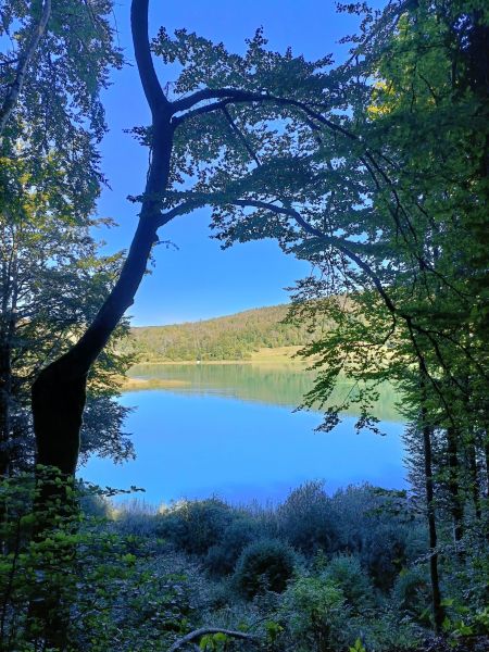 foto 26 Alquiler vacacional entre particulares Foncine le Bas maison Franco Condado Jura