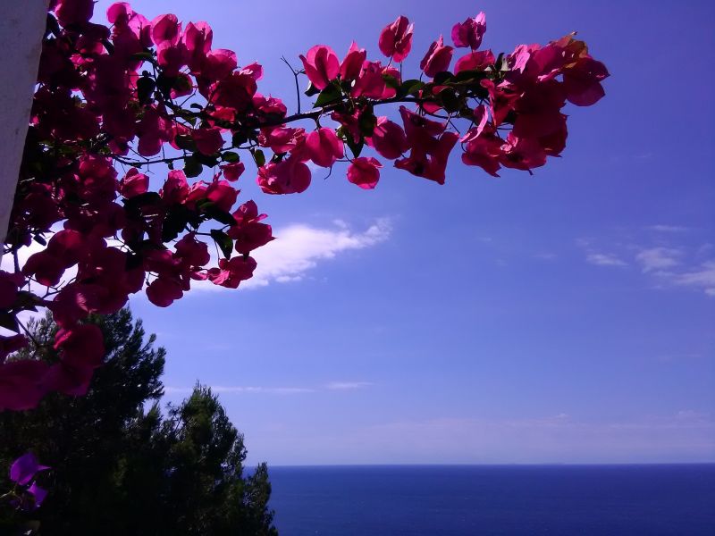 foto 4 Alquiler vacacional entre particulares Sperlonga villa Latium Latina (provincia de)