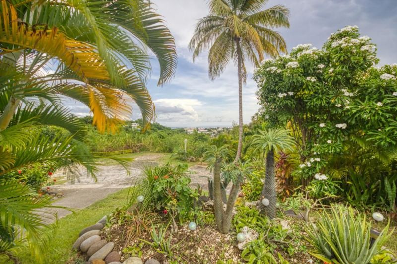 foto 7 Alquiler vacacional entre particulares Le Gosier (Guadeloupe) villa Grande Terre  Jardn