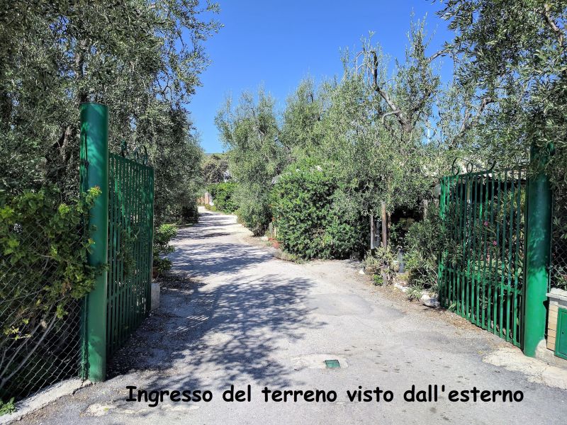 foto 5 Alquiler vacacional entre particulares Mattinata maison Apulia Foggia (provincia de) Vistas de las proximidades