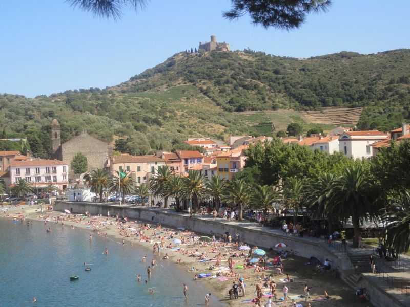 foto 14 Alquiler vacacional entre particulares Collioure studio Languedoc-Roselln Pirineos Orientales Playa