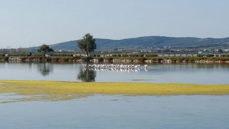 foto 18 Alquiler vacacional entre particulares Frontignan appartement Languedoc-Roselln Hrault Vistas de las proximidades