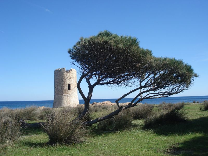 foto 15 Alquiler vacacional entre particulares La Caletta studio Cerdea Nuoro (provincia de)