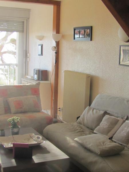 foto 7 Alquiler vacacional entre particulares Cap d'Agde appartement Languedoc-Roselln Hrault Sala de estar