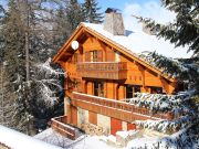 Alquiler casas vacaciones Parque Nacional De La Vanoise: chalet n 79673