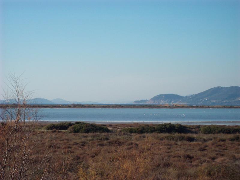 foto 4 Alquiler vacacional entre particulares Hyres appartement Provenza-Alpes-Costa Azul Var Vistas desde la terraza