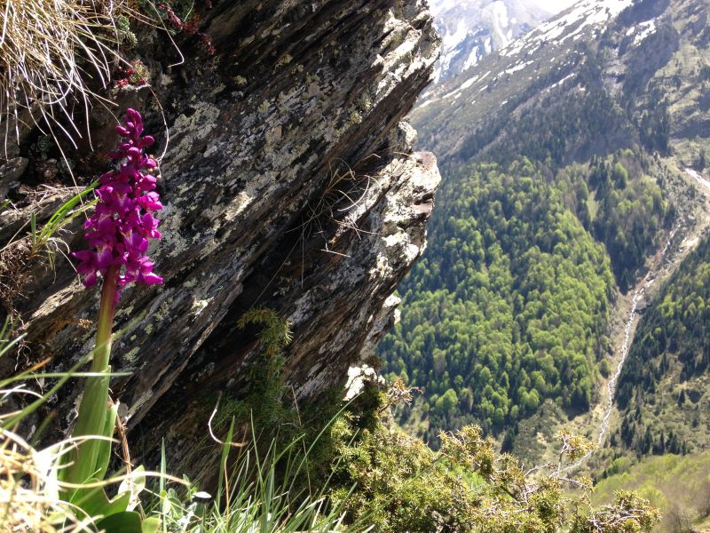 foto 12 Alquiler vacacional entre particulares Piau Engaly studio Medioda-Pirineos Altos Pirineos Vistas de las proximidades