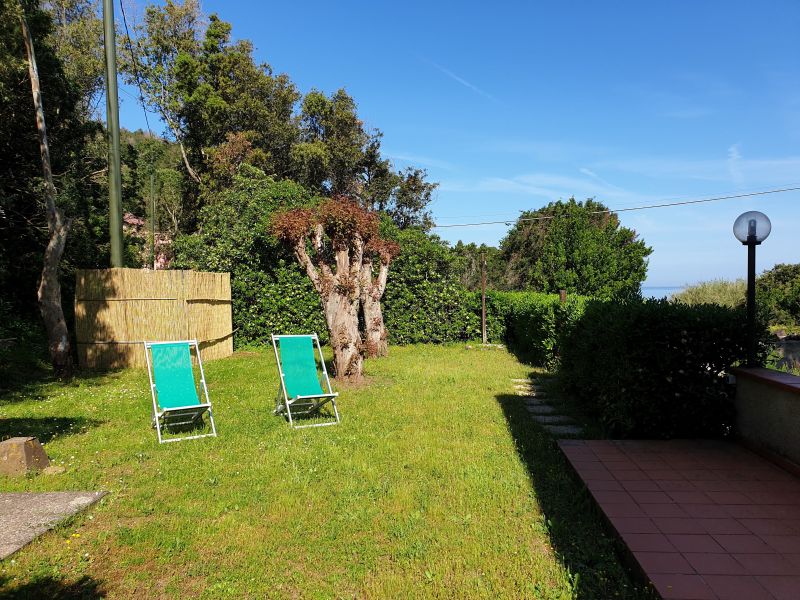 foto 4 Alquiler vacacional entre particulares Rio nell'Elba appartement Toscana Isla de Elba Jardn