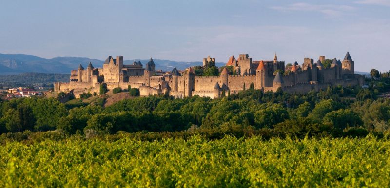 foto 9 Alquiler vacacional entre particulares Carcassonne gite Languedoc-Roselln Aude