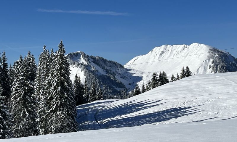 foto 2 Alquiler vacacional entre particulares La Clusaz studio Rdano Alpes Alta Saboya