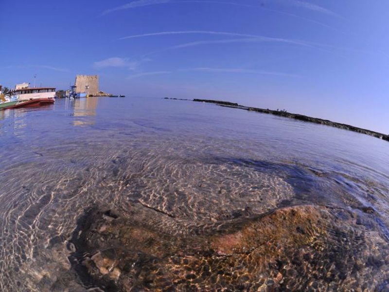 foto 0 Alquiler vacacional entre particulares Ostuni villa Apulia Brindisi (provincia de)