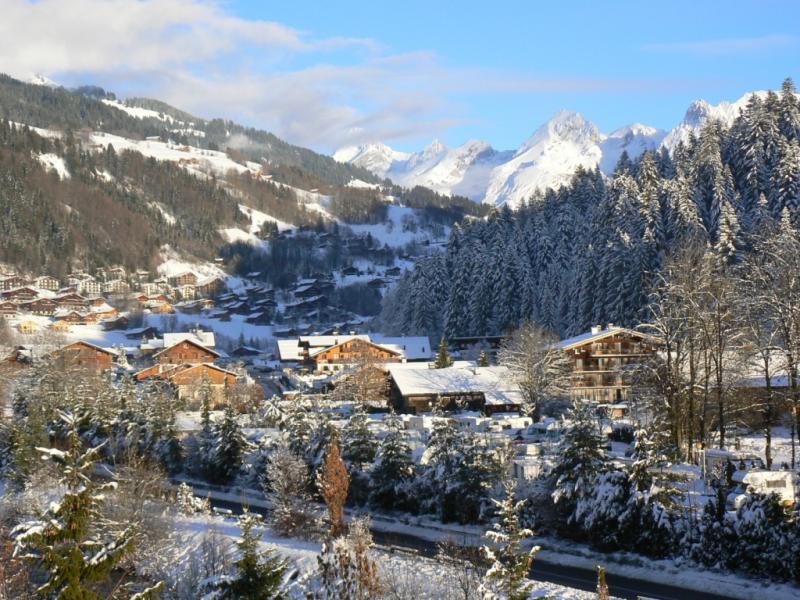 foto 10 Alquiler vacacional entre particulares Le Grand Bornand appartement Rdano Alpes Alta Saboya Vistas desde el alojamiento