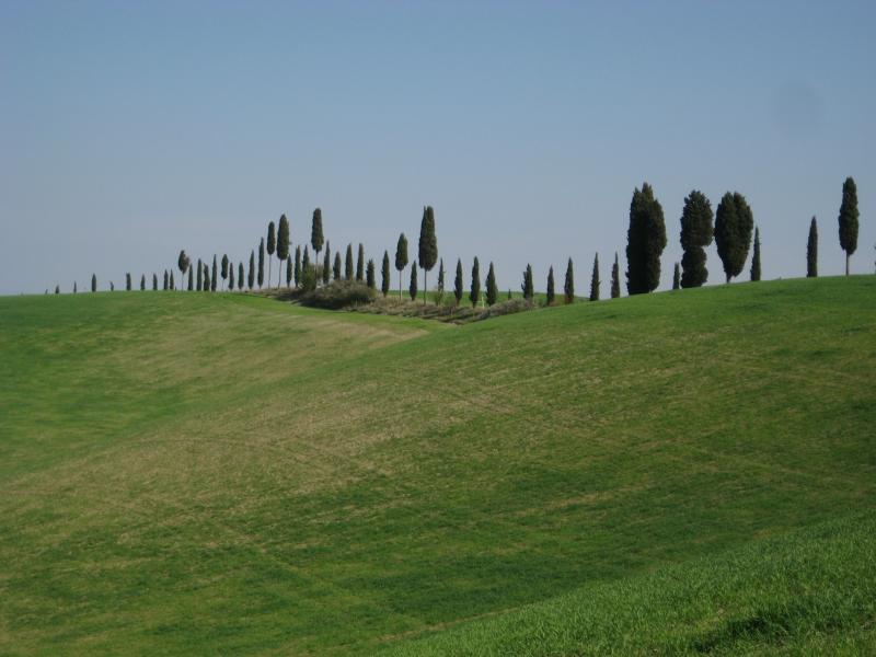 foto 5 Alquiler vacacional entre particulares San Gimignano appartement Toscana Siena (provincia de) Otras vistas