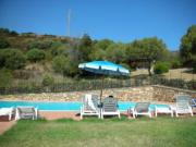 Alquiler vacaciones piscina Cerdea: appartement n 78876