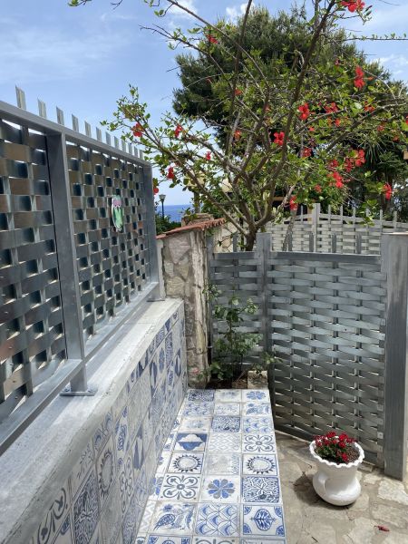 foto 6 Alquiler vacacional entre particulares Scopello villa Sicilia Trapani (provincia de) Vistas desde la terraza