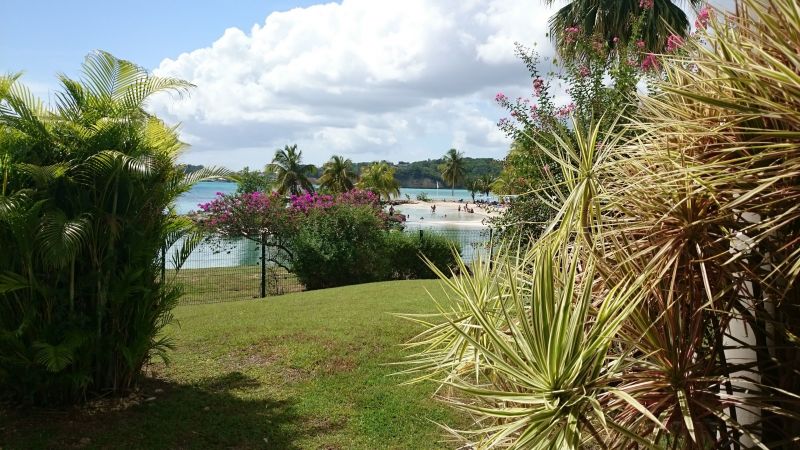 foto 18 Alquiler vacacional entre particulares Le Gosier (Guadeloupe) studio Grande Terre