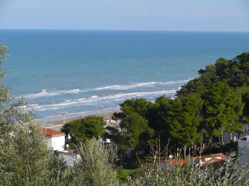 foto 0 Alquiler vacacional entre particulares San Menaio appartement Apulia Foggia (provincia de)