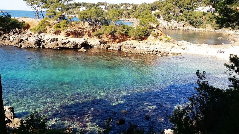 foto 16 Alquiler vacacional entre particulares Bandol appartement Provenza-Alpes-Costa Azul Var Vistas de las proximidades