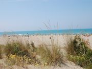 Alquiler vacaciones Maremma: studio n 108463