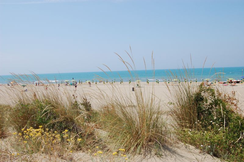 foto 0 Alquiler vacacional entre particulares Principina a Mare studio Toscana Grosseto (provincia de) Playa