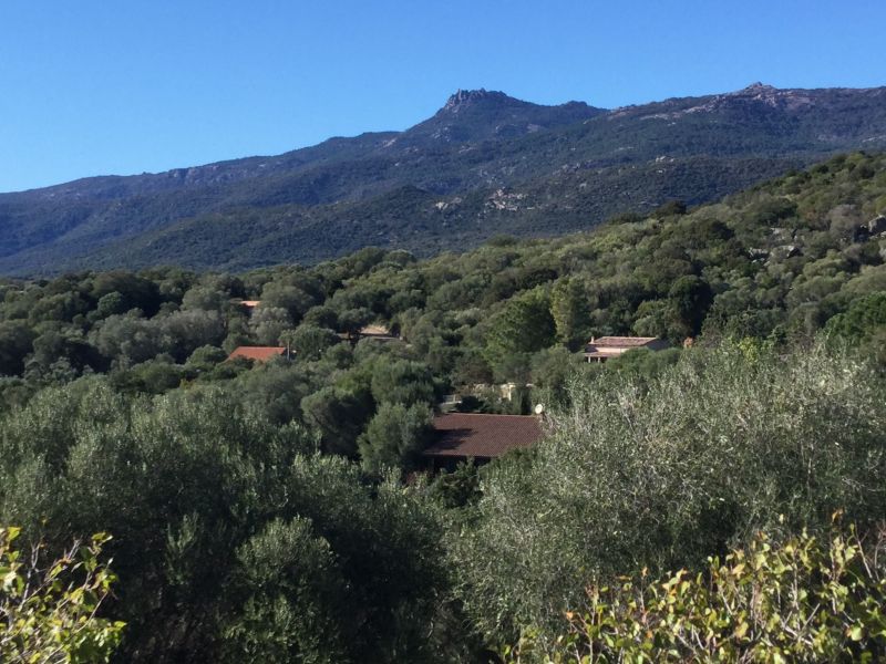 foto 20 Alquiler vacacional entre particulares Bonifacio maison Crcega Crcega del Sur Vistas desde el alojamiento