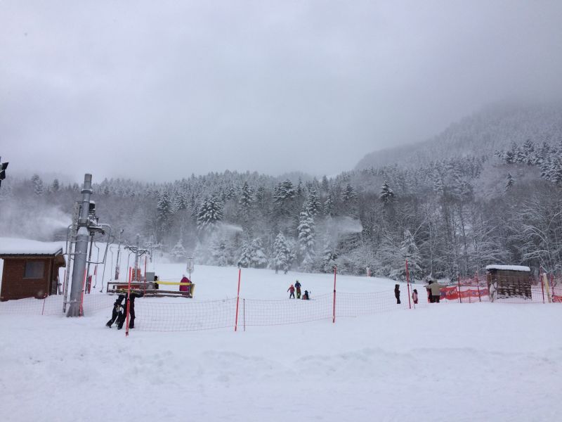 foto 0 Alquiler vacacional entre particulares Bernex appartement Rdano Alpes Alta Saboya