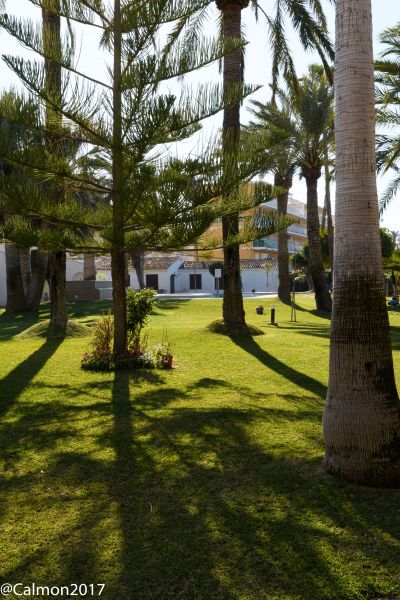 foto 4 Alquiler vacacional entre particulares Denia bungalow Comunidad Valenciana Alicante (provincia de) Jardn