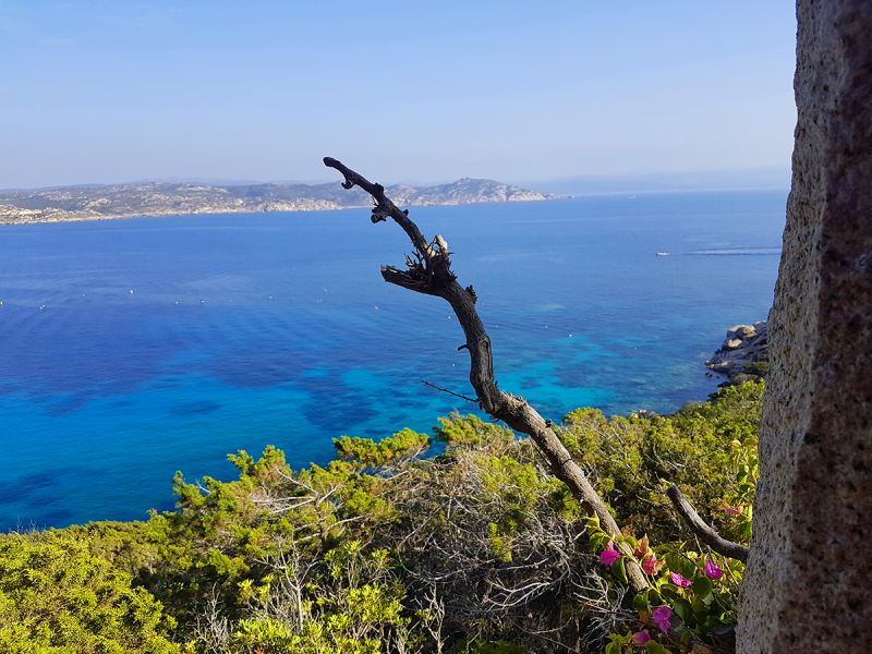 foto 4 Alquiler vacacional entre particulares Santa Teresa di Gallura villa Cerdea Olbia Tempio (provincia de) Vistas desde la terraza