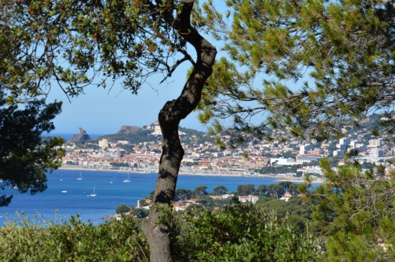 foto 2 Alquiler vacacional entre particulares La Ciotat gite Provenza-Alpes-Costa Azul Bocas del Rdano Vistas desde la terraza