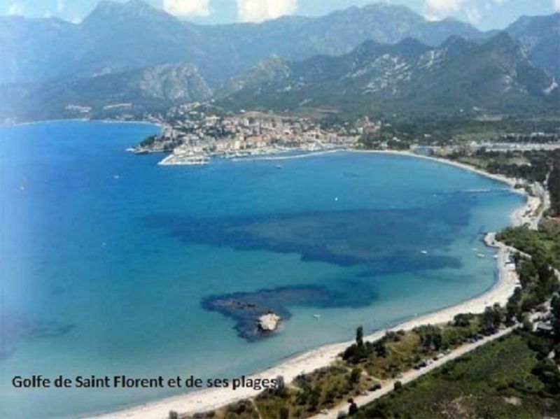 foto 0 Alquiler vacacional entre particulares Saint Florent appartement Crcega Alta Crcega Playa