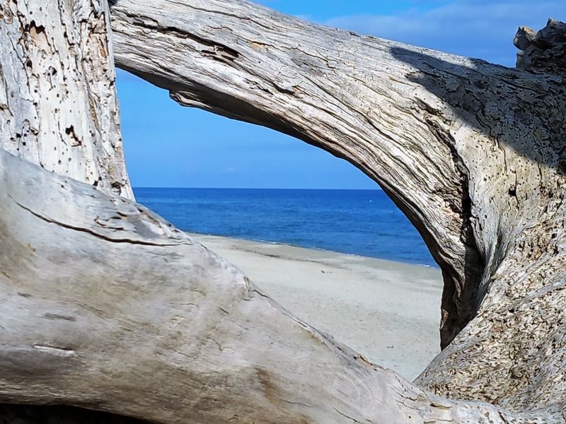 foto 0 Alquiler vacacional entre particulares Cervione maison Crcega Alta Crcega Playa