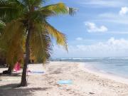 Alquiler vacaciones Caribe: studio n 67258