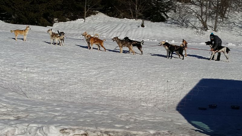 foto 19 Alquiler vacacional entre particulares Praz de Lys Sommand appartement Rdano Alpes Alta Saboya Otras vistas