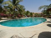 Alquiler vacaciones piscina Invierno Al Sol: appartement n 10807