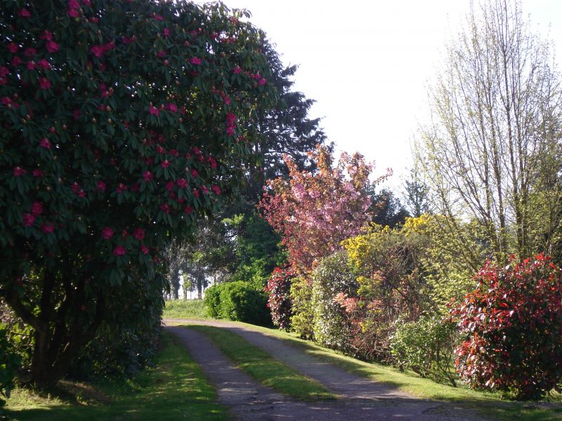 foto 14 Alquiler vacacional entre particulares Douarnenez maison Bretaa Finisterre Jardn