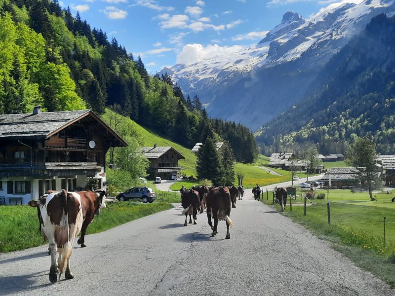 foto 4 Alquiler vacacional entre particulares Le Grand Bornand appartement Rdano Alpes Alta Saboya Vistas exteriores del alojamiento