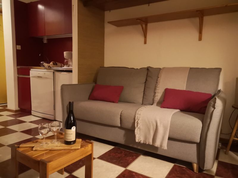 foto 3 Alquiler vacacional entre particulares Eyne 2600 appartement Languedoc-Roselln Pirineos Orientales Sala de estar
